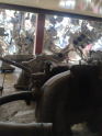 Oto Çıkma Parça / Tofaş / Doğan  / Motor / Emme Manifoldu / Çıkma Parça 