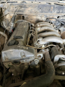 Oto Çıkma Parça / SsangYong / Musso / Motor / Motor (komple) / Çıkma Parça 