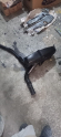 Oto Çıkma Parça / Renault / Laguna / Filtre / Hava Filtresi Kutusu / Çıkma Parça 