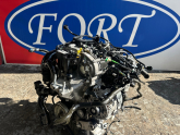 Ford Focus 1.0 Ecoboost Çıkma Motor 2023