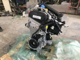 Oto Çıkma Parça / Volkswagen / Golf / Motor / Motor (komple) / Sıfır Parça 