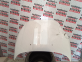 Ford Fiesta Kaput
