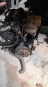 Oto Çıkma Parça / Opel / Astra / Motor / Motor (komple) / Çıkma Parça 