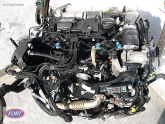Oto Çıkma Parça / Ford / Fiesta / Motor / Motor (komple) / Çıkma Parça 