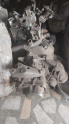 Oto Çıkma Parça / Opel / Astra / Motor / Motor (komple) / Çıkma Parça 