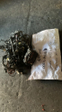 HYUNDAİ İ20 MOTOR KOMPLE 91941- 93200 2011 2014