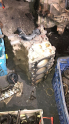 TOYOTA HİLUX 2L ÇIKMA ORJİNAL BLOK                    (XS1505S26)