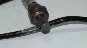 Oto Çıkma Parça / Nissan / Primera / Motor / Oksijen Sensörü / Sıfır Parça 