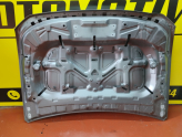Oto Çıkma Parça / Renault / Duster / Kaporta & Karoser / Kaput / Çıkma Parça 
