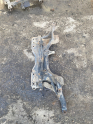 Oto Çıkma Parça / Ford / Tourneo Connect / Alt Takım / Travers / Çıkma Parça 