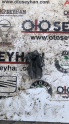 Oto Çıkma Parça / Seat / Leon / Beyin / Şanzıman Beyni / Çıkma Parça 