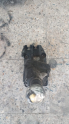 Oto Çıkma Parça / Toyota / Avensis / Vites / Vites Mekanizması / Çıkma Parça 