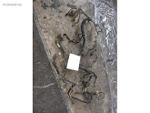 Oto Çıkma Parça / Peugeot / 207 / Motor / Motor (komple) / Çıkma Parça 