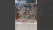 Oto Çıkma Parça / Toyota / Hilux / Far & Stop / Sinyal Lambası / Sıfır Parça 