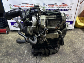 Oto Çıkma Parça / Volkswagen / Passat / Motor / Motor (komple) / Çıkma Parça 