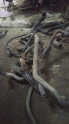 Oto Çıkma Parça / Renault / R 21 / Motor / Turbo Hortumu / Çıkma Parça 