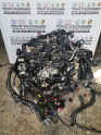 Oto Çıkma Parça / Audi / A5 / Motor / Motor (komple) / Çıkma Parça 