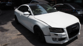 Oto Çıkma Parça / Audi / A5 / Motor / Blok / Çıkma Parça 