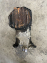 Oto Çıkma Parça / Nissan / X-Trail / Motor / Karter / Çıkma Parça 