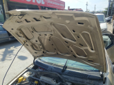 Oto Çıkma Parça / Renault / Megane / Kaporta & Karoser / Kaput / Çıkma Parça 