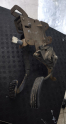 RENAULT MEGANE 2 FREN - GAZ PEDAL SETİ