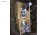 Oto Çıkma Parça / Fiat / Fiorino / Far & Stop / Sol Ön Far / Sıfır Parça 
