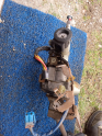 Oto Çıkma Parça / Renault / Clio / Direksiyon / Direksiyon Pompası / Çıkma Parça 