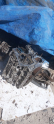 Oto Çıkma Parça / Skoda / Favorit / Motor / Motor (komple) / Çıkma Parça 