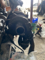 Oto Çıkma Parça / Opel / Astra / Motor / Turbo / Çıkma Parça 