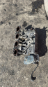 Citroën C4 1.6 benzinli emme manif oldu