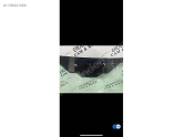 Oto Çıkma Parça / Ford / Transit / Oto Cam / Ön Cam / Sıfır Parça 