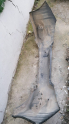 Oto Çıkma Parça / Honda / City / Tampon / Arka Tampon / Çıkma Parça 