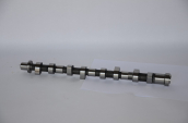 13020-AD202  SKYSTAR 02-06 EKSANTRİK MİLİ IN