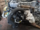 Oto Çıkma Parça / Ford / Ranger / Motor / Motor (komple) / Çıkma Parça 