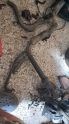 Oto Çıkma Parça / Opel / Vectra / Radyatör / Radyatör Hortumu / Çıkma Parça 
