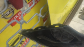 Oto Çıkma Parça / Opel / Insignia / Tampon / Ön Tampon / Çıkma Parça 