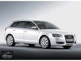 Oto Çıkma Parça / Audi / A3 / Kaporta & Karoser / Sağ Ön Kapı / Çıkma Parça 