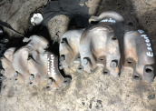 Oto Çıkma Parça / Ford / Mondeo / Egzoz / Egzoz Manifoldu / Çıkma Parça 