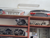 Oto Çıkma Parça / Toyota / Corolla / Kaporta & Karoser / Bagaj Kapağı / Çıkma Parça 