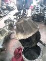 Oto Çıkma Parça / Isuzu / NPR / Defransiyel / Arka Defransiyel / Çıkma Parça 