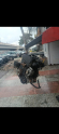 Oto Çıkma Parça / Citroen / Jumper / Motor / Komple Motor / Çıkma Parça 