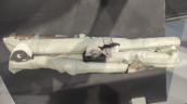 Oto Çıkma Parça / Bmw / 4 Serisi / Airbag / Tavan Airbag / Çıkma Parça 