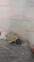 Oto Çıkma Parça / Ford / Focus / Oto Cam / Cam Krikosu / Çıkma Parça 
