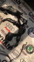 Oto Çıkma Parça / Volkswagen / Passat / Motor / Motor (komple) / Çıkma Parça 