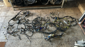 Oto Çıkma Parça / Toyota / Corolla / Elektrik / Elektrik Tesisatı / Çıkma Parça 