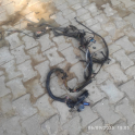 Oto Çıkma Parça / Peugeot / 206 / Motor / Elektrik Tesisatı / Çıkma Parça 