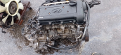 Oto Çıkma Parça / Kia / Ceed / Motor / Motor (komple) / Çıkma Parça 