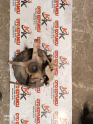 Oto Çıkma Parça / Hyundai / Excel / Alt Takım / Taşıyıcı / Çıkma Parça 