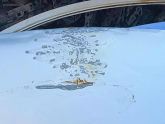 Oto Çıkma Parça / Volkswagen / Passat / Kaporta & Karoser / Kaput / Çıkma Parça 