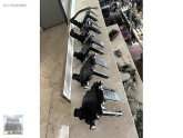 Oto Çıkma Parça / Audi / A4 / Şanzıman / Şanzıman Komple / Çıkma Parça 